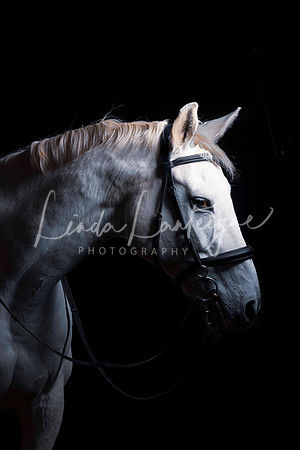 Victoria portrait