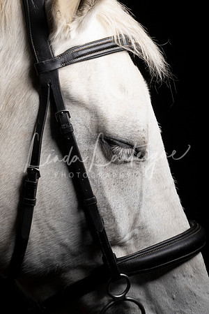 Oh those eyelashes