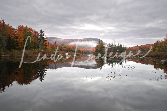 Marshfield, Vt pull back