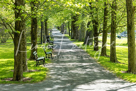 Greenway. Halifax Public Gardens