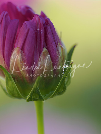 Three little drops