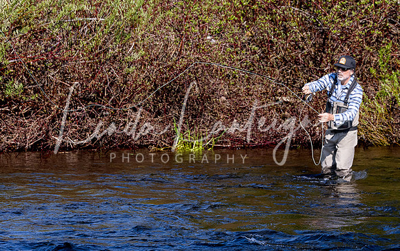casting on the Matapedia River, Quebec