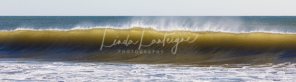 Crest of the wave, Nauset Beach, Cape Cod