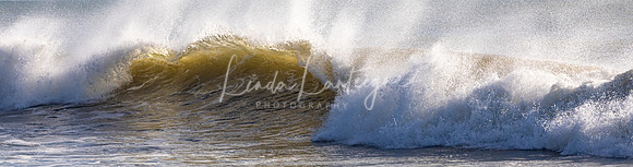 Incoming wave, Nauset Beach, Cape Cod