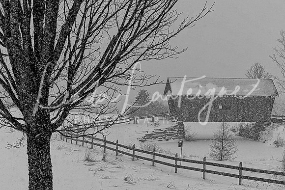 amfoster covered bridge cabot vt