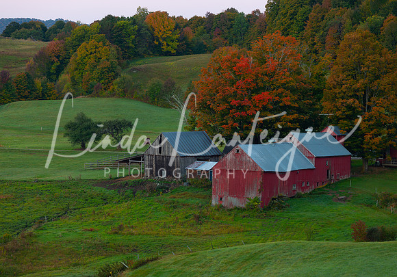 Jenny farm in Fall