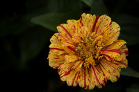 4A6A6944-2