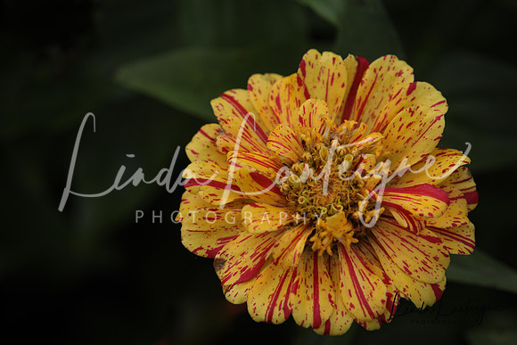 4A6A6944-2