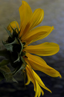 4A6A7197-2