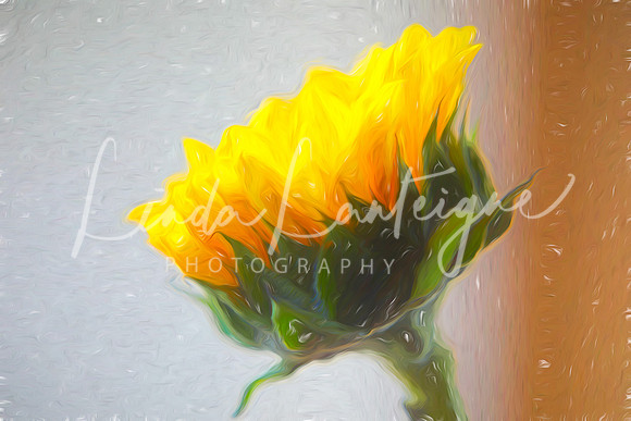 Painterly-sunflower