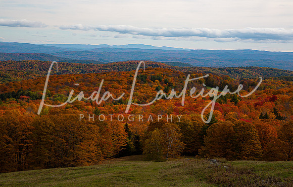 Vermont Fall.3