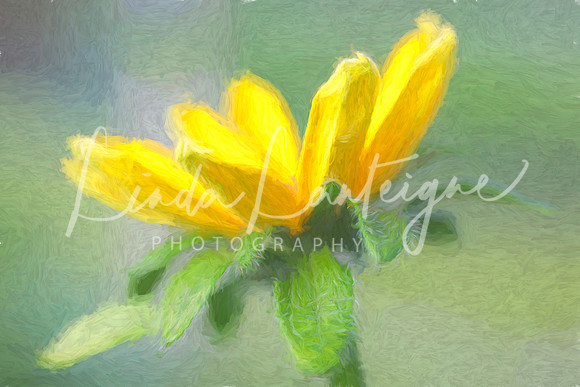 4A6A5922-Edit