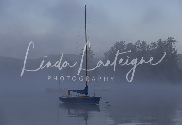 Foggy Vermont Lake.1