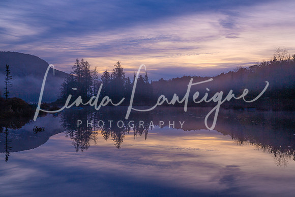 Vermont Marsh sunrise.1