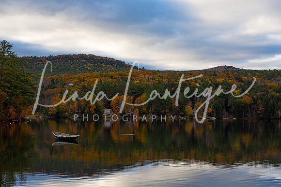Vermont Fall.4