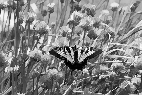 Painterly-butterfly on chives
