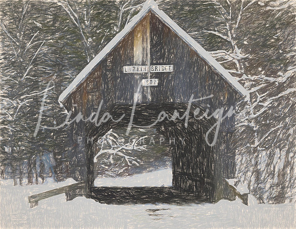 Vermont.Larkin covered bridge