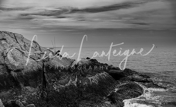 Fishing for stripers off Eastern Point Lighthouse, MA